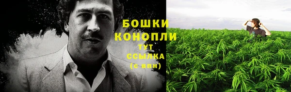 дживик Корсаков