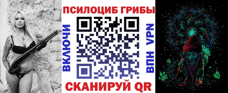 Псилоцибиновые грибы Magic Shrooms  blacksprut онион  Медвежьегорск  купить  цена 